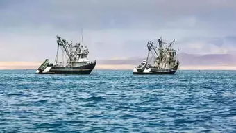严禁越线捕捞,严防引发涉外事件 农业农村部要求加强远洋渔业安全管理
