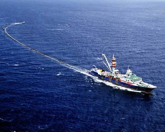 金汇1号,6号轮提前完成全年经济指标-远洋捕捞-上海水产集团总公司